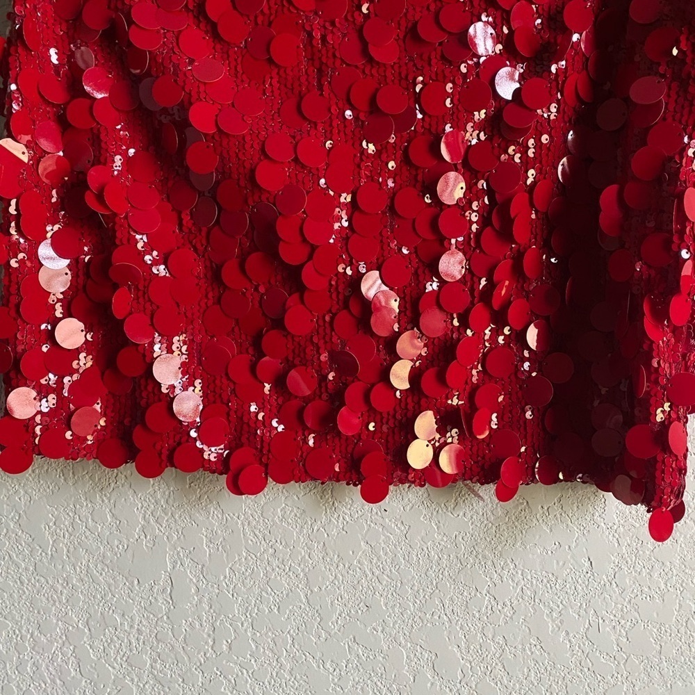 Editkted Sabina Low-Rise Sequin Red Coquette Sexy Mini Whimsical Skirt  Size L - Picture 11 of 11
